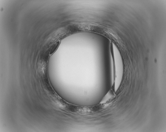 X0000086920125200705071338