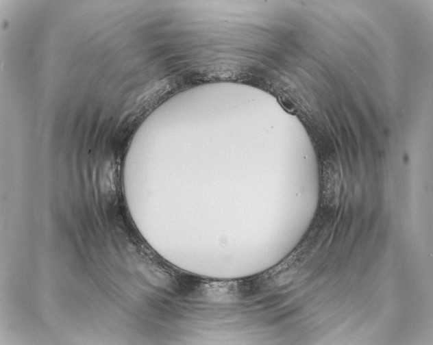 X0000086920126200705071338