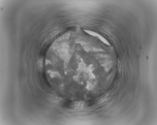 X0000086920127200705071337