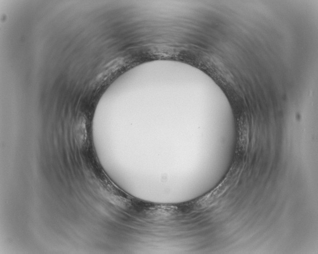 X0000086920128200705071337