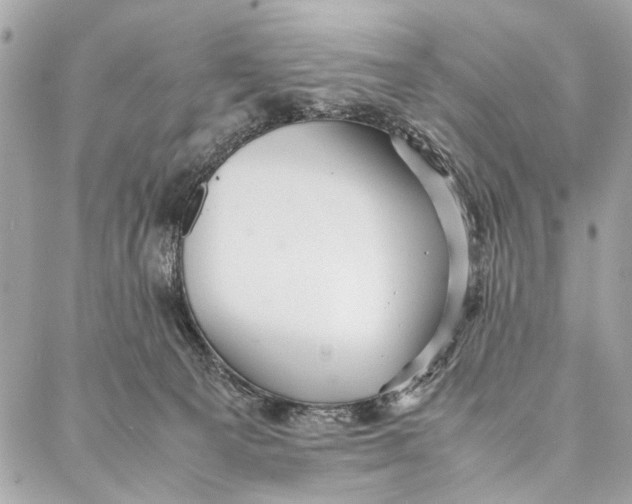 X0000086920129200705071337