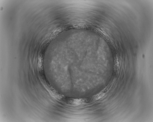 X0000086920130200705071337