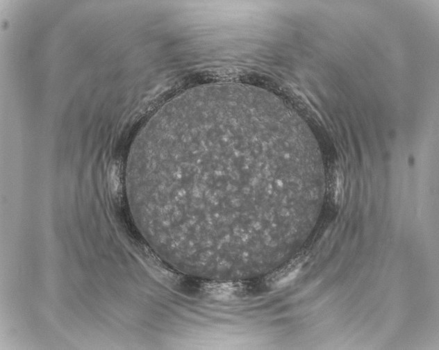 X0000086920131200705071337