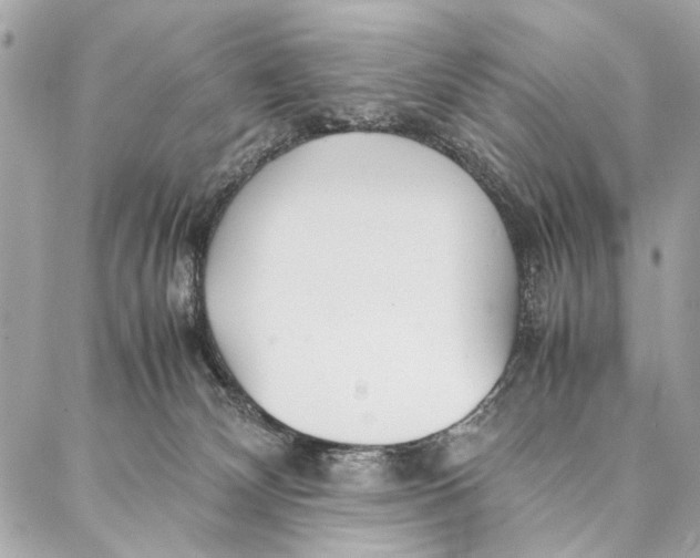 X0000086920132200705071337