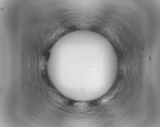 X0000086920133200705071337