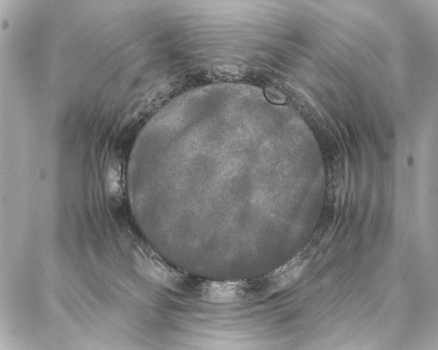 X0000086920134200705071337