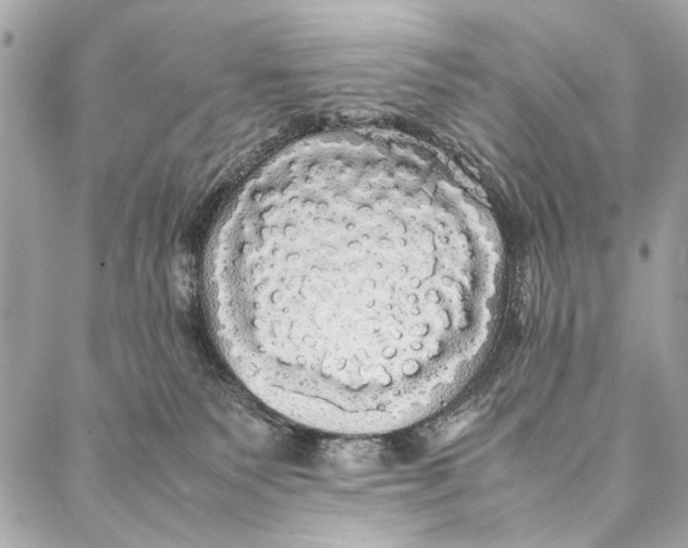 X0000086920135200705071337