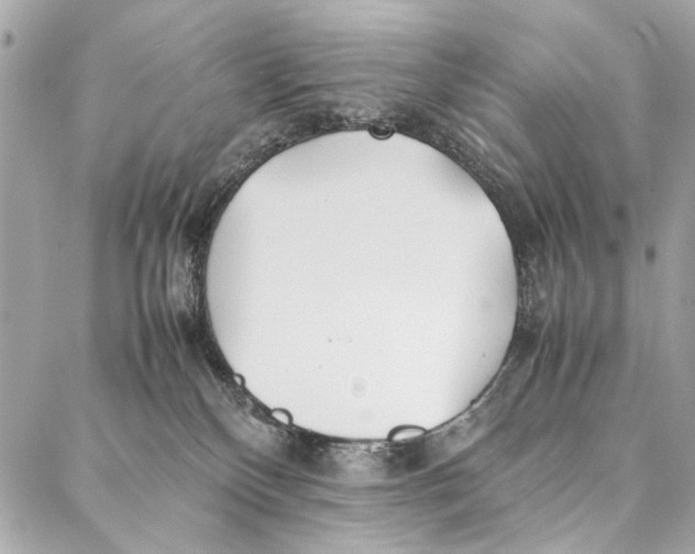 X0000086920136200705071337