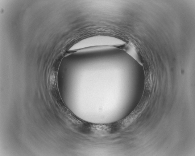 X0000086920137200705071337