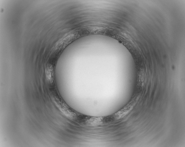 X0000086920138200705071337