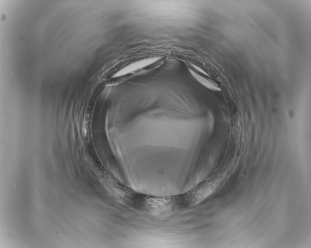 X0000086920139200705071337