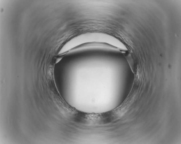 X0000086920141200705071337