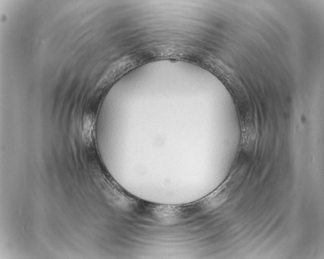 X0000086920142200705071337