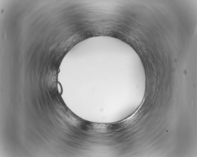 X0000086920144200705071337