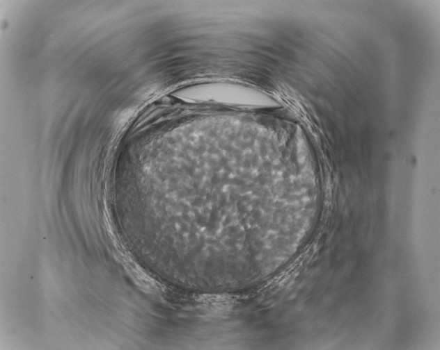 X0000086920145200705071336