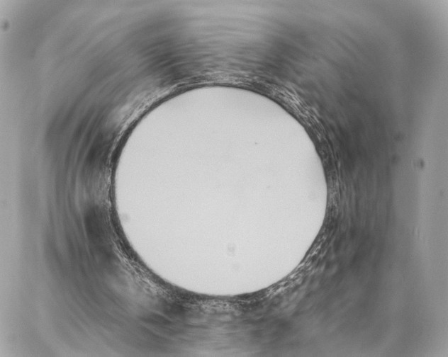 X0000086920146200705071336