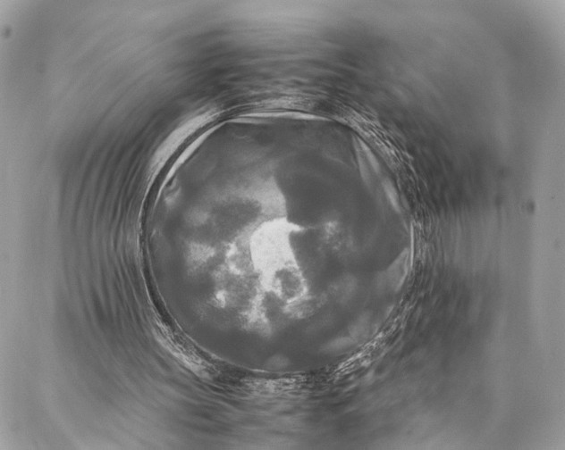 X0000086920147200705071336