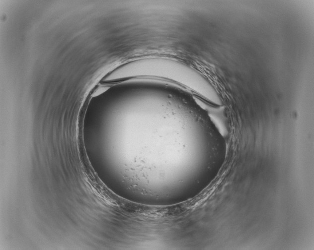 X0000086920148200705071336