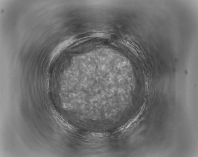 X0000086920149200705071336