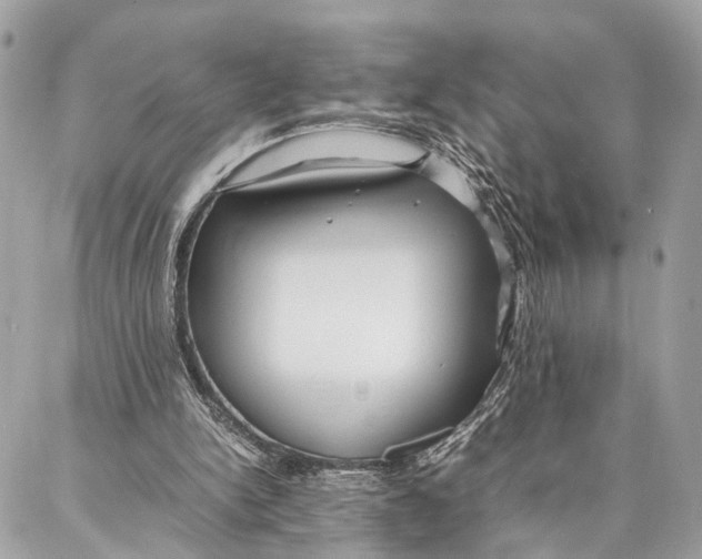 X0000086920150200705071337