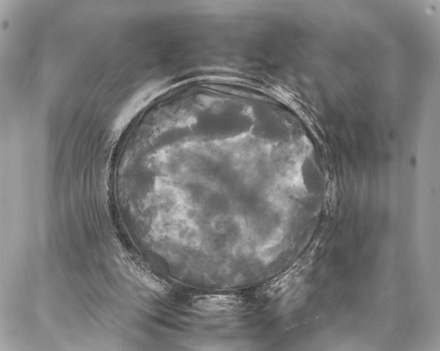 X0000086920151200705071337