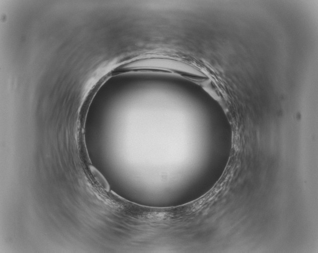 X0000086920152200705071337