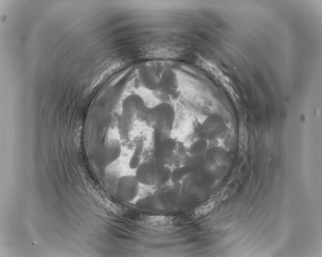 X0000086920153200705071337