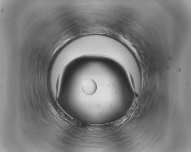 X0000086920154200705071337