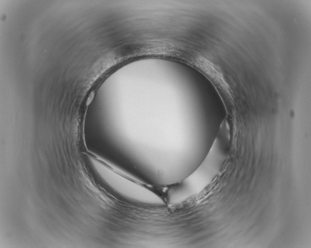 X0000086920156200705071337