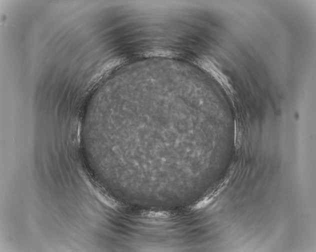 X0000086920157200705071337