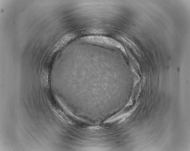 X0000086920158200705071337