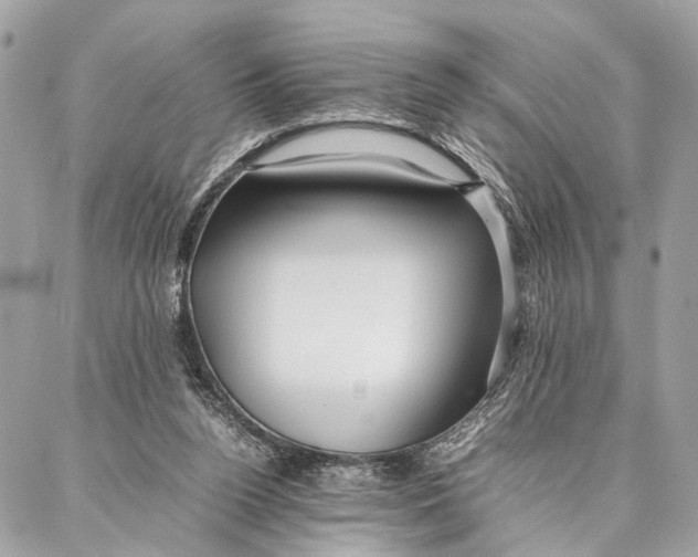 X0000086920160200705071337