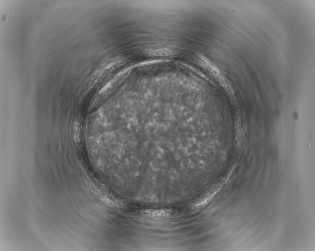 X0000086920161200705071337