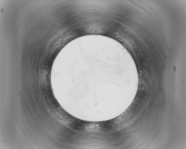 X0000086920162200705071337