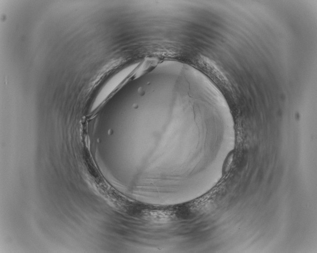 X0000086920163200705071337