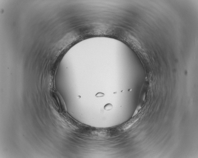 X0000086920164200705071337