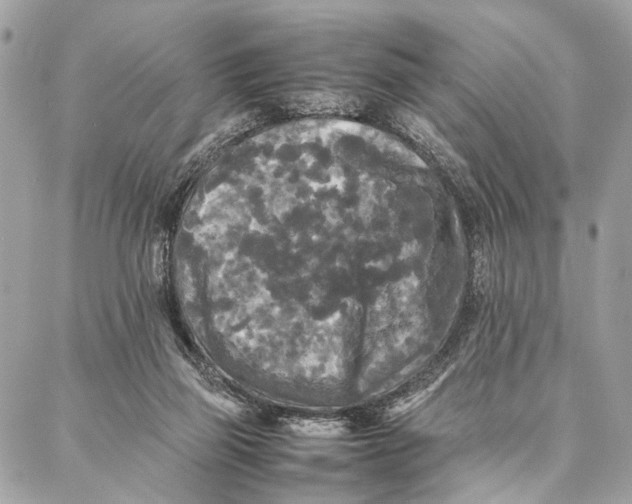 X0000086920165200705071337