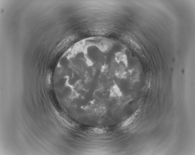 X0000086920166200705071337