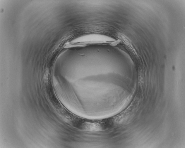 X0000086920167200705071337