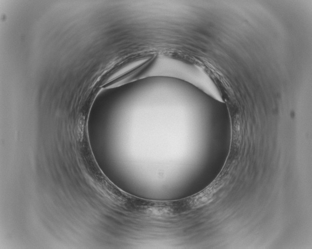 X0000086920168200705071337