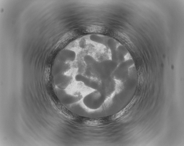 X0000086920171200705071337