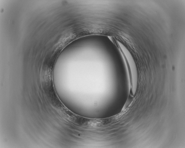 X0000086920172200705071337