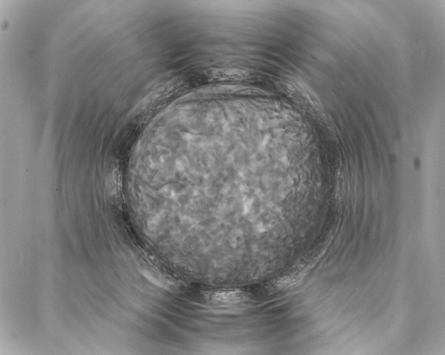 X0000086920173200705071337