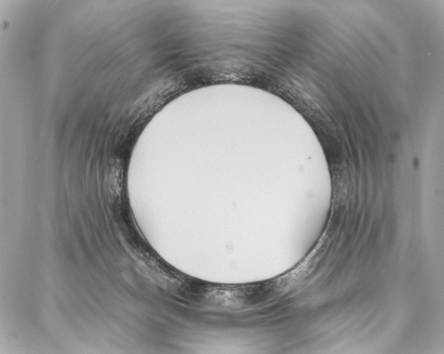 X0000086920174200705071337