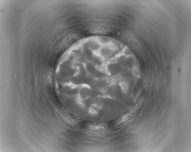 X0000086920175200705071337