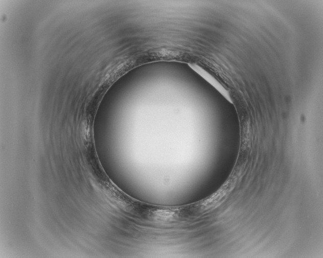 X0000086920176200705071337