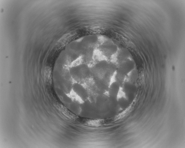 X0000086920178200705071337