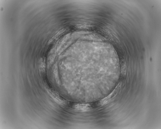 X0000086920179200705071337