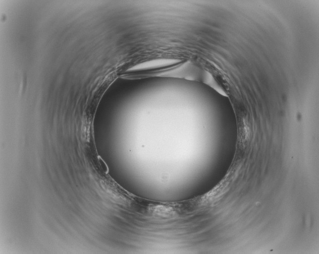 X0000086920180200705071337