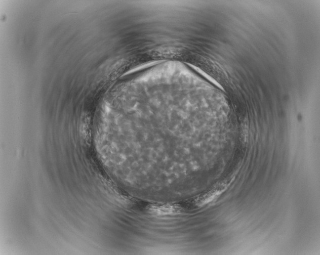 X0000086920181200705071337